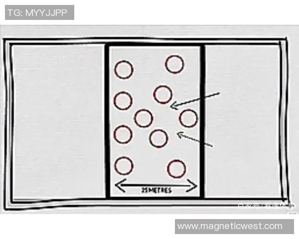 深圳乒乓球队区域防守战术深度解析与实战应用探讨