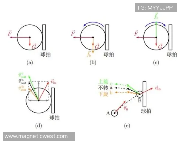 科学乒乓球：配合训练方法