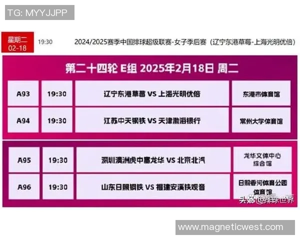 排球焦点：成都排球队的实力探讨