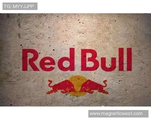 极限运动新手攻略：速度入门指南