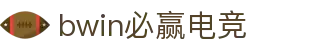 bwin必赢电竞 - 追求胜利，电竞无界"
